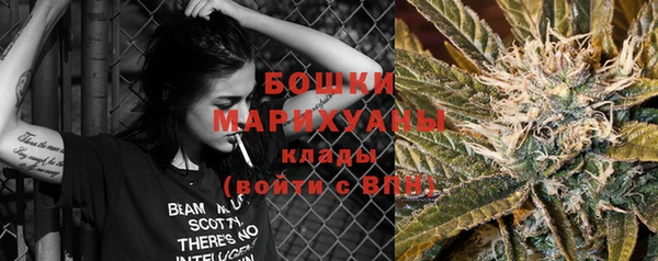 ПСИЛОЦИБИНОВЫЕ ГРИБЫ Балабаново