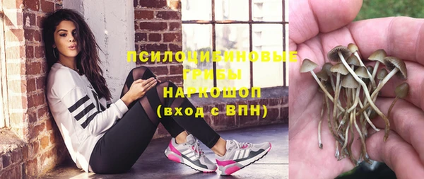 бошки Балахна