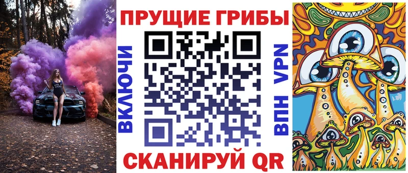 Псилоцибиновые грибы Psilocybine cubensis  цена   Красноармейск 